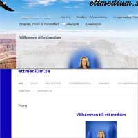 Liz Emanuelsson Ett medium
